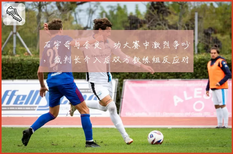 石宇奇与奈良岡功大赛中激烈争吵,裁判长介入后双方教练组反应对比