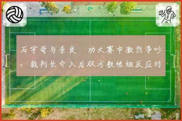 石宇奇与奈良岡功大赛中激烈争吵,裁判长介入后双方教练组反应对比