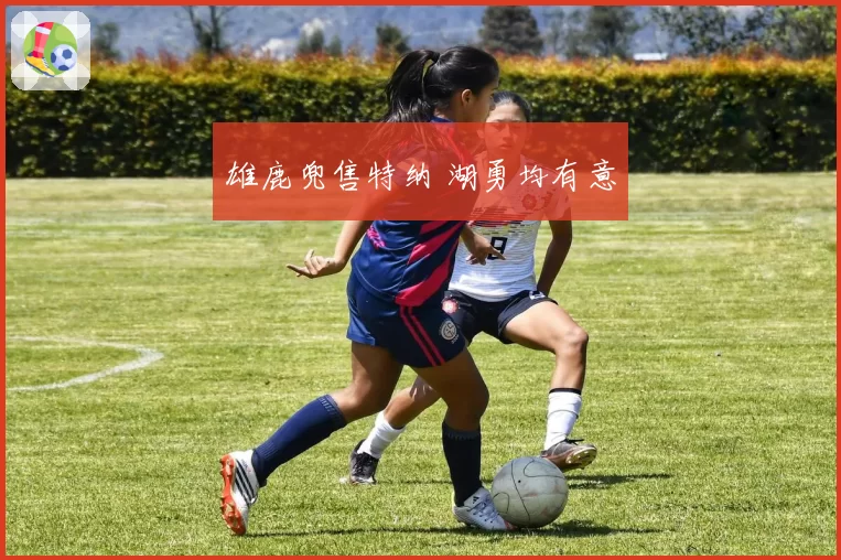 雄鹿兜售特纳 湖勇均有意