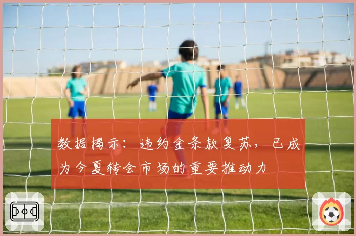 数据揭示：违约金条款复苏，已成为今夏转会市场的重要推动力