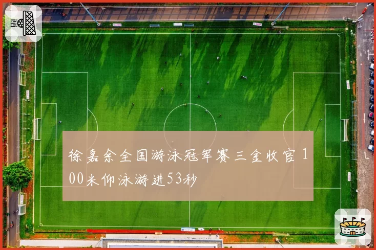 徐嘉余全国游泳冠军赛三金收官 100米仰泳游进53秒