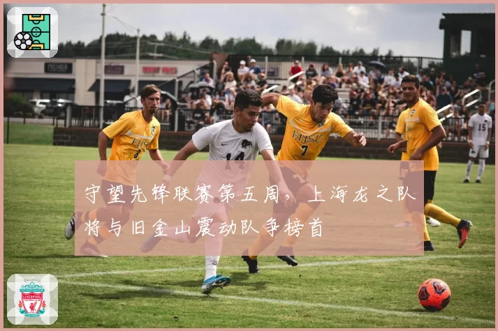 守望先锋联赛第五周,上海龙之队将与旧金山震动队争榜首